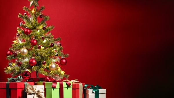 Festlich geschmückter Weihnachtsbaum mit Geschenken am Boden welche mit schönen grossen Schleifen versehen sind